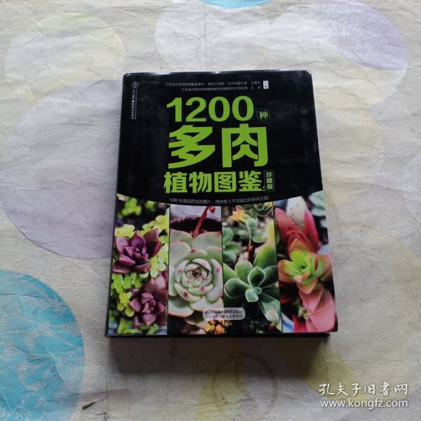 1200种多肉植物图鉴：珍藏版（汉竹）