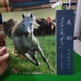 天驹一乌珠穆沁白马