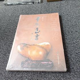 中国玉言  山东科学技术出版社