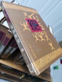 民国野史-新编中国全史