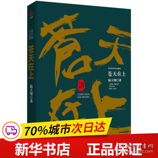 陆天明当代作品精选：苍天在上