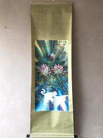 【宝贝名称】黄永玉 立轴 花鸟
【宝贝尺寸】188x59厘米
【宝贝画芯】100x 47厘米