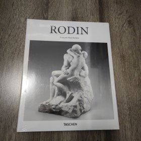 【Basic Art 2.0】RODIN，罗丹