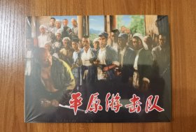 百年经典电影系列：平原游击队（50开精装塑封）