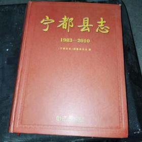 宁都县志（1983-2010）（江西省赣州市）