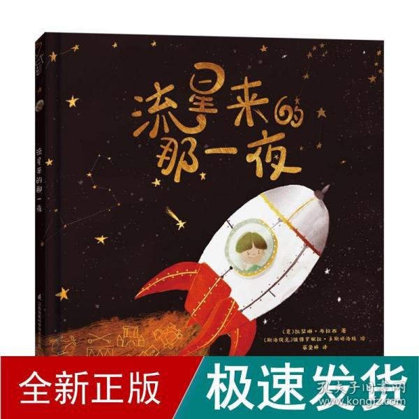 流星来的那一夜 奇境系列软科普绘本 小竹马童书