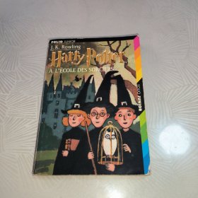 Harry Potter à l'école des sorciers