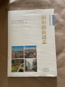 郑州市名街志文化工程 ：桐柏路街道志