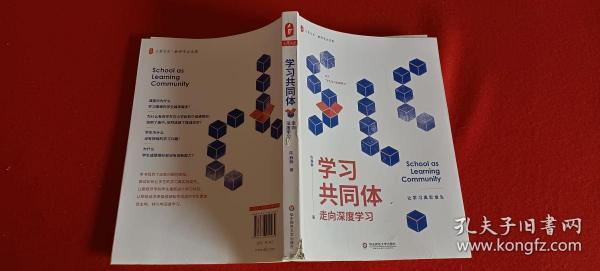 大夏书系·学习共同体：走向深度学习