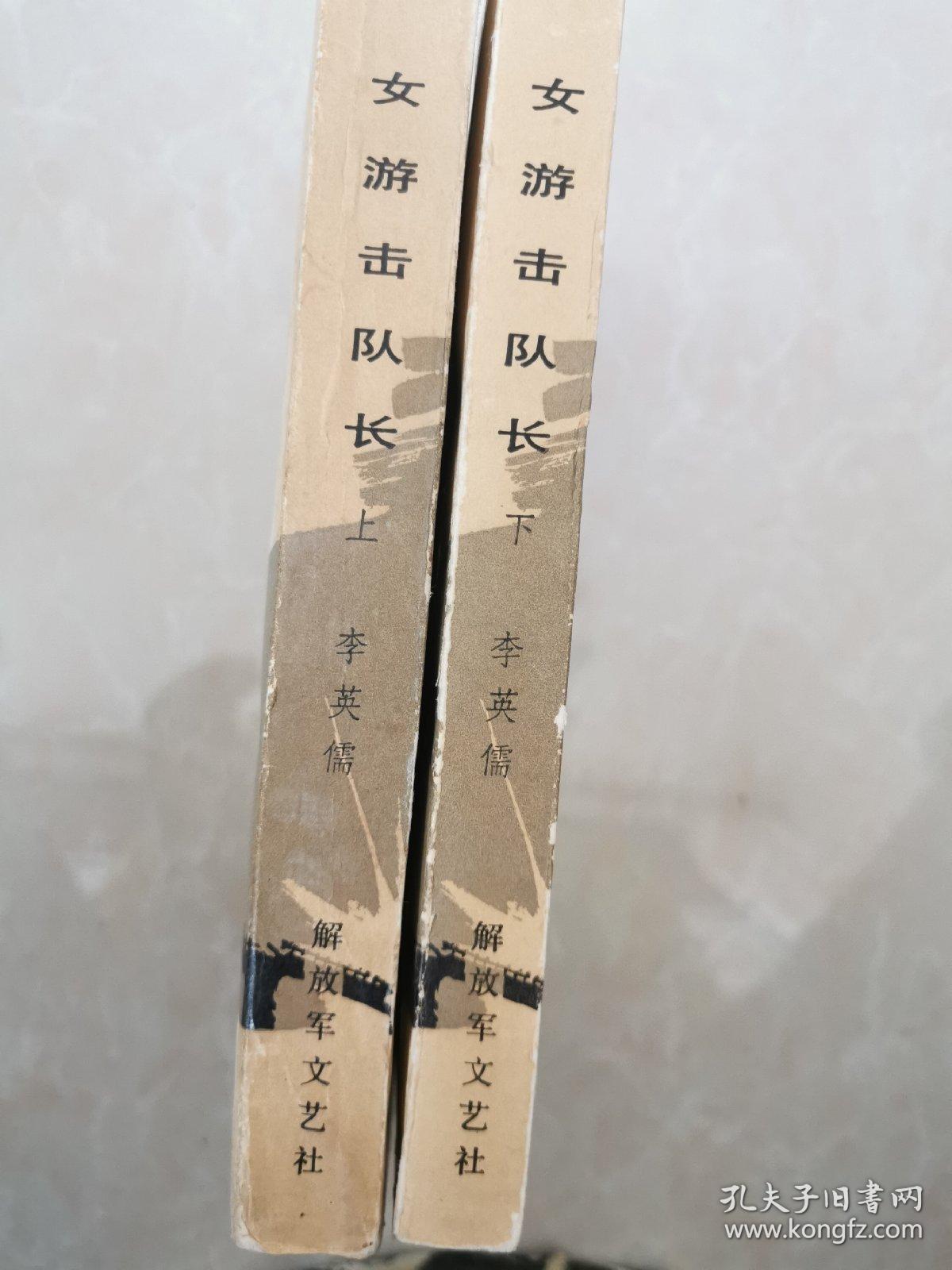 女游击队长 上下册