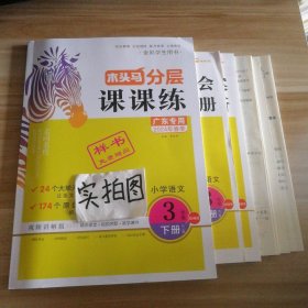 2024春木头马分层课课练 小学语文3三年级下册 统编版人教版广东专用 9787564830694