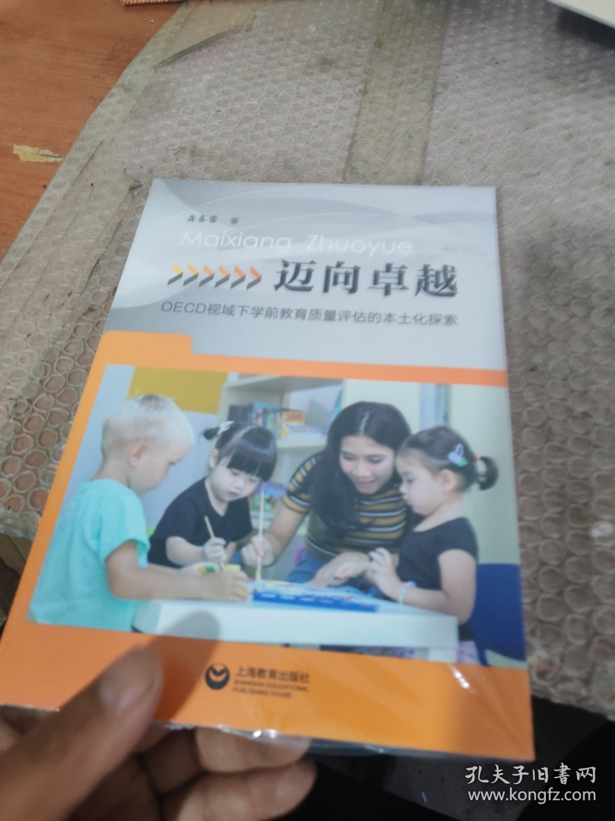 迈向卓越——OECD视域下学前教育质量评估的本土化探索