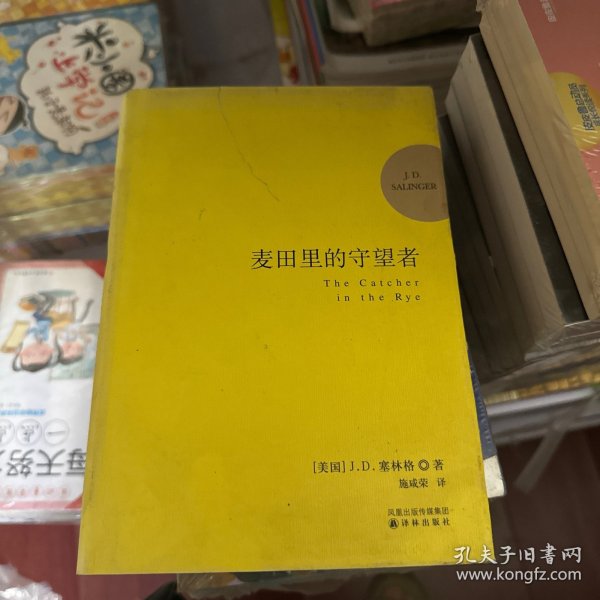 麦田里的守望者 纪念版