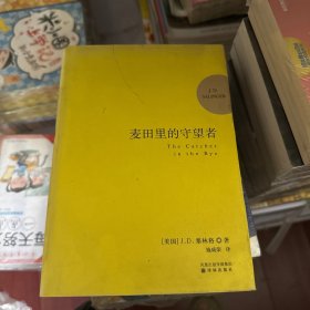 麦田里的守望者 纪念版