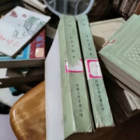 绿衣亨利 上下