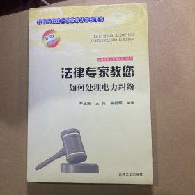 法律专家为民说法系列丛书：法律专家教您如何处理电力纠纷