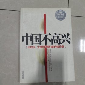 中国不高兴：大时代大目标及我们的内忧外患