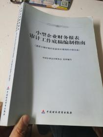 小型企业财务报表审计工作底稿编制指南（适用于审计执行企业会计准则的小型企业）