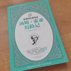 童趣文学新课标名著阅读·汤姆·索亚历险记