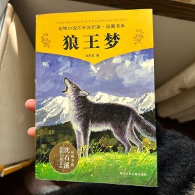 狼王梦