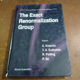 The Exact Renormalization Group