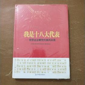 我是十八大代表 : 民营企业家党代表风采录