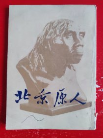 北京原人