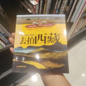 去拍西藏：不可不去的心灵秘境