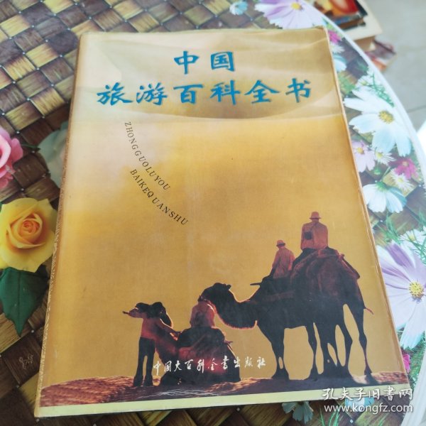 中国旅游百科全书