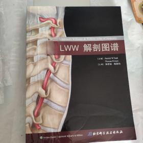 LWW解剖图谱