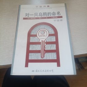 于坚诗集·对一只乌鸦的命名 93年一版一印