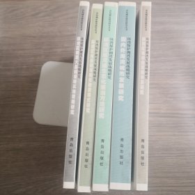 环湾保护拥湾发展战略研究