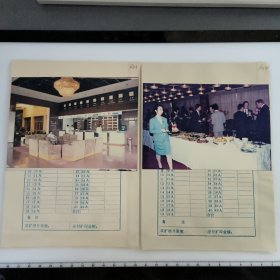 彩色照片：接待外国投资公司人员 无底片（A11-17） 共17张合售 档案盒H