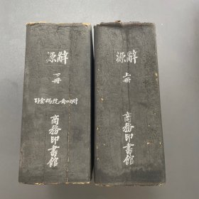 辞源  丁种本（上下册 ）厚册