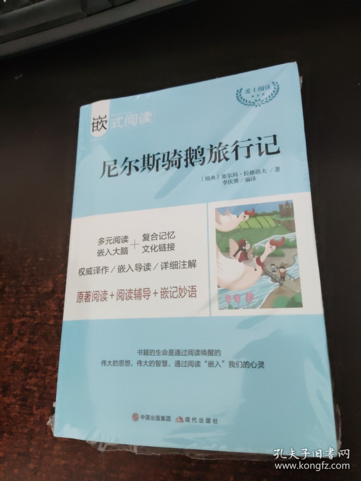 嵌式阅读：尼尔斯骑鹅旅行记