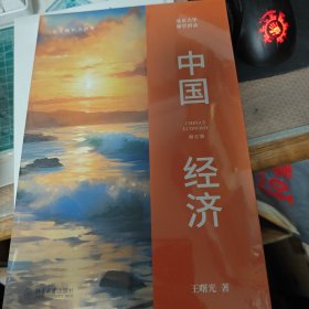 中国经济：北京大学课堂讲录