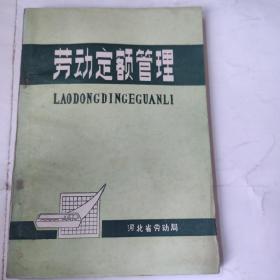 劳动定额管理(32开 河北省劳动局