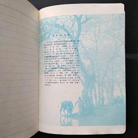 笔记本  知识日记