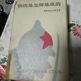 钢铁是怎样炼成的