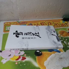 雪落在南方的乡下（胡金华签赠本）