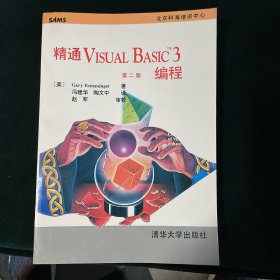 精通Visual Basic 3编程:第二版