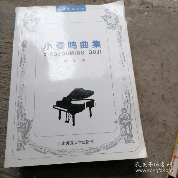 21世纪钢琴教学丛书：小奏鸣曲集（教学版）