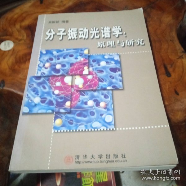 分子振动光谱学 原理与研究