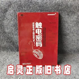 实战电商系列·触电密码：企业电商之路的道与术（全彩）