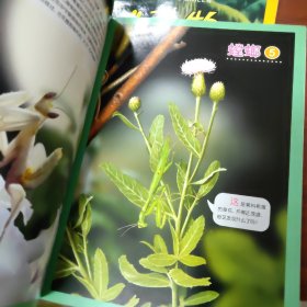 动物紧急逃生：问到底系列 动物紧急逃生+找虫虫两本合售