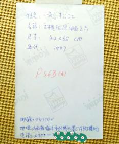 刘松江签名“古槐根深”组画照片三帧（合售）