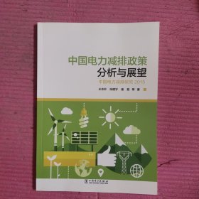 中国电力减排政策分析与展望 【478号】