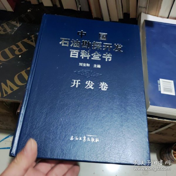 中国石油勘探开发百科全书（开发卷）