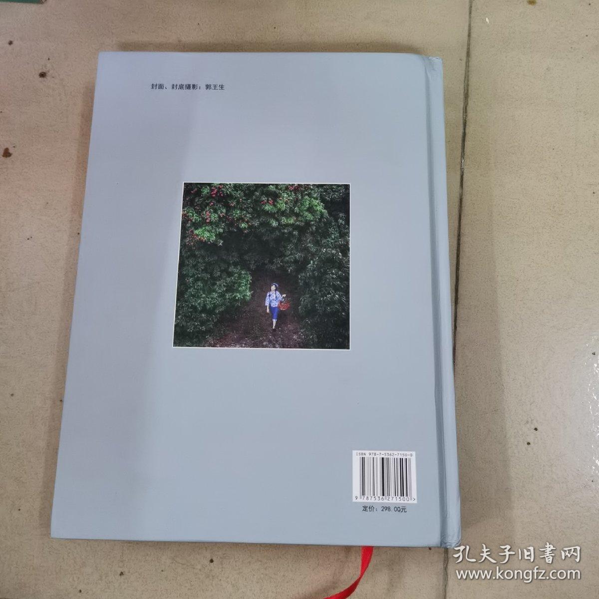 惠东年鉴2020