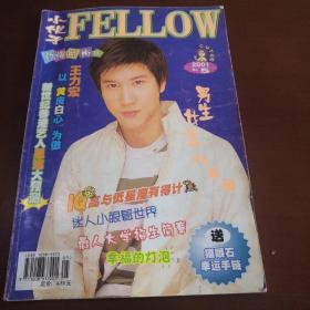 小伙子FELLOW劲爆时尚版2001.5